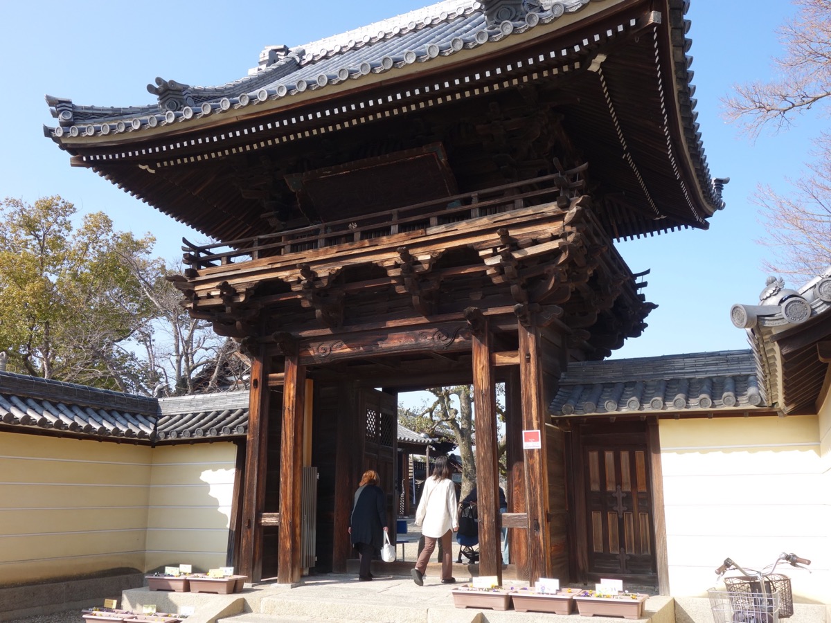 道明寺