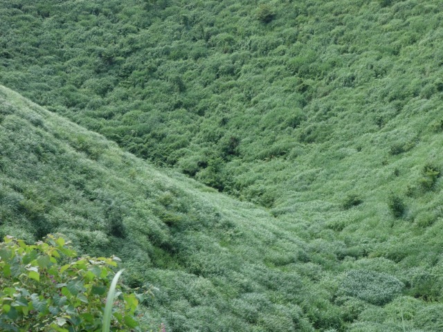 神鍋高原