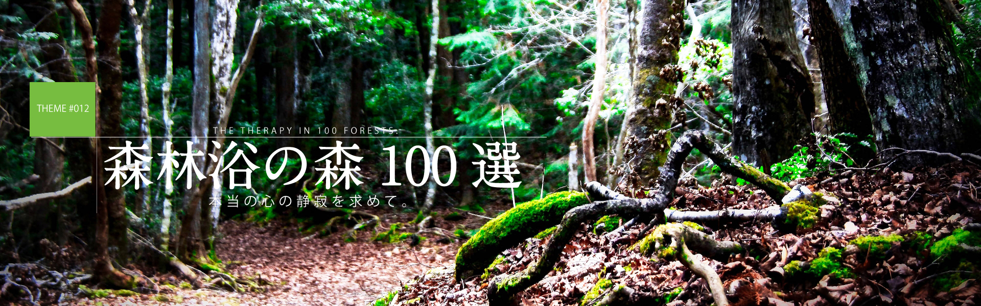 森林浴の森100選