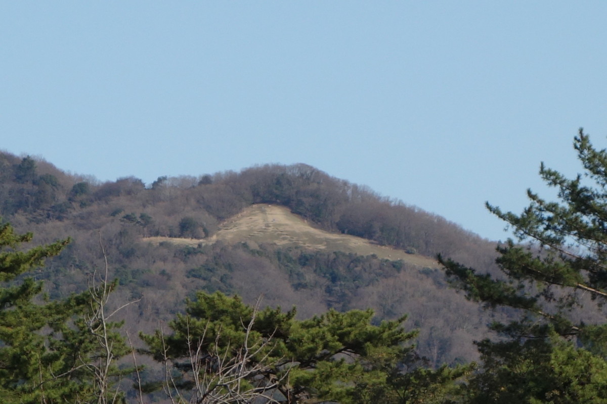 高円山
