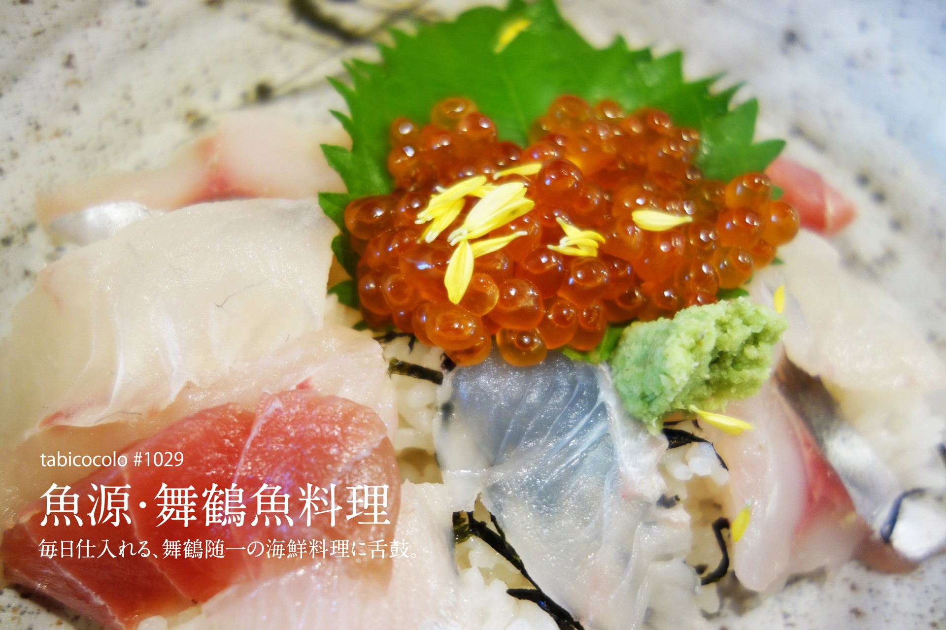 魚源・舞鶴魚料理