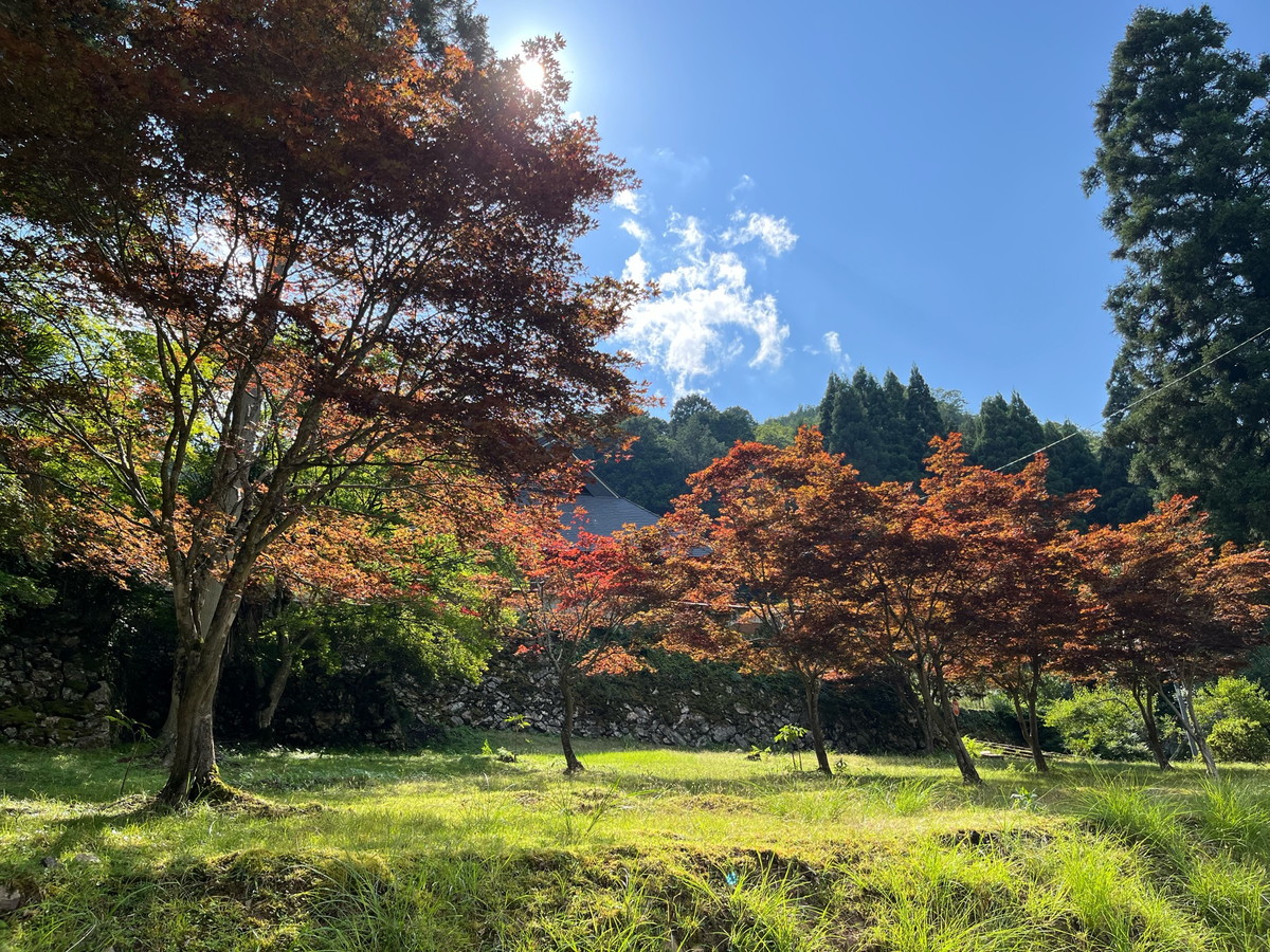 玉雲寺