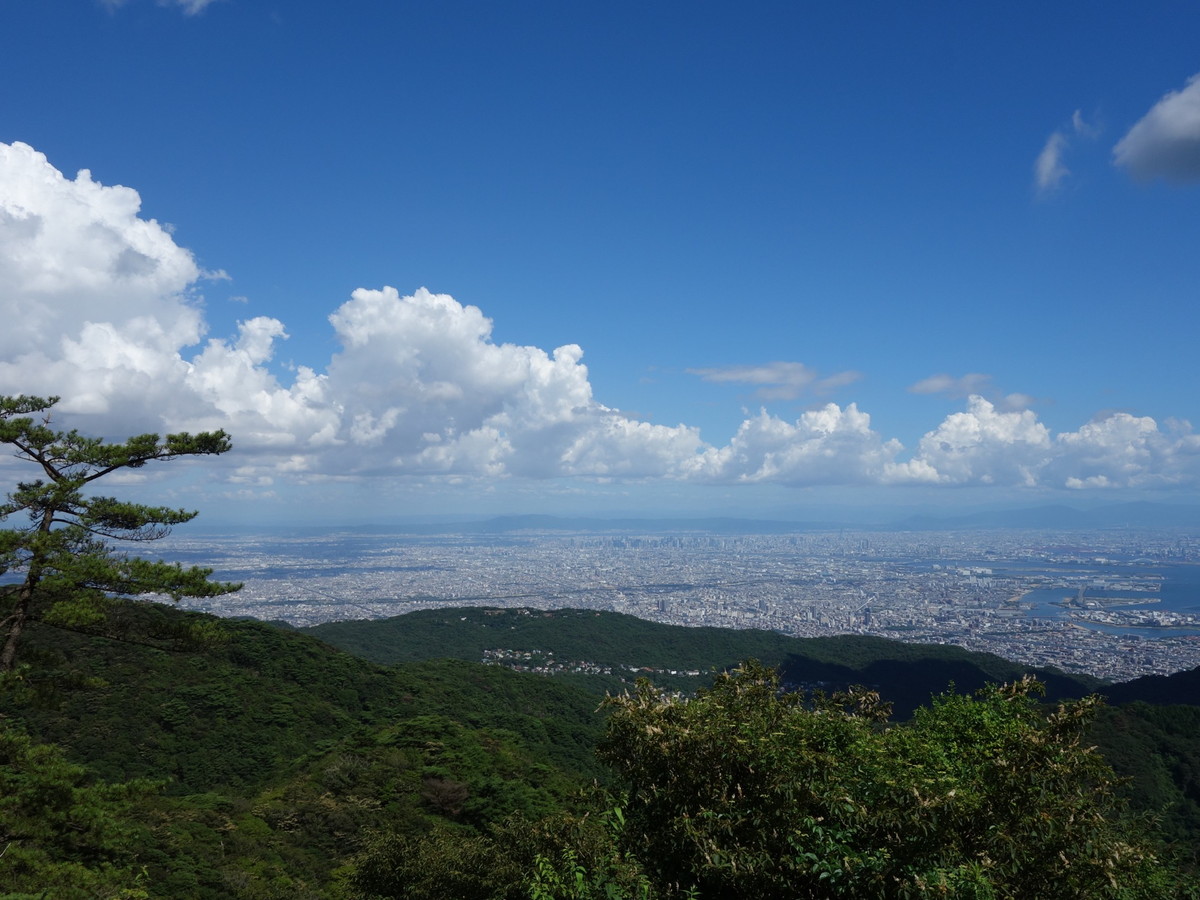 （六甲山の名も無き）展望台