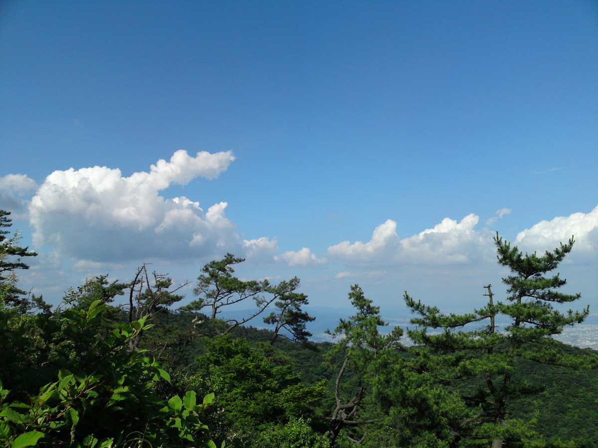 （六甲山の名も無き）展望台