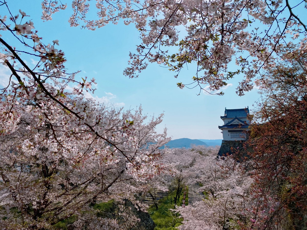 津山城跡（鶴山公園）