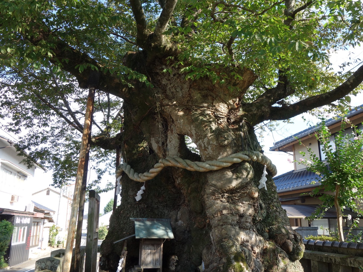 中山神社