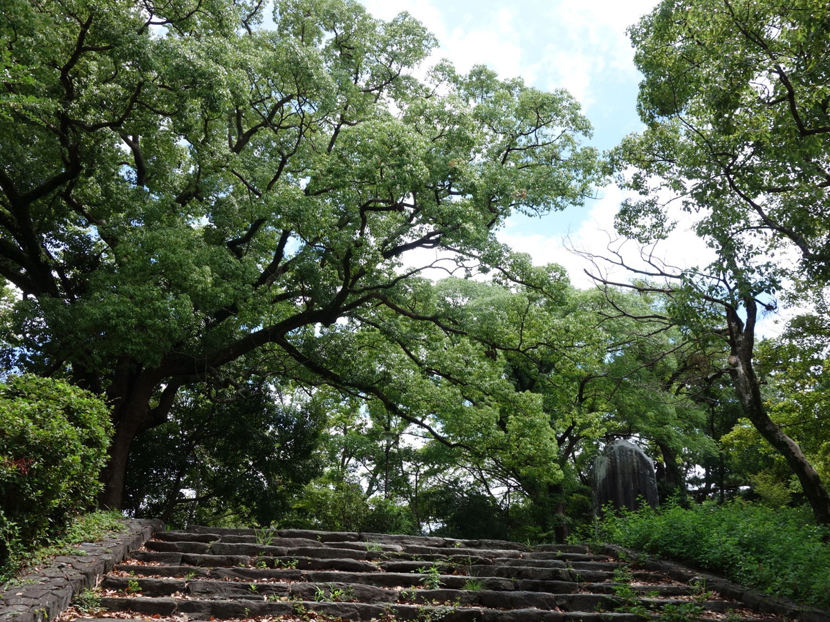 岡公園