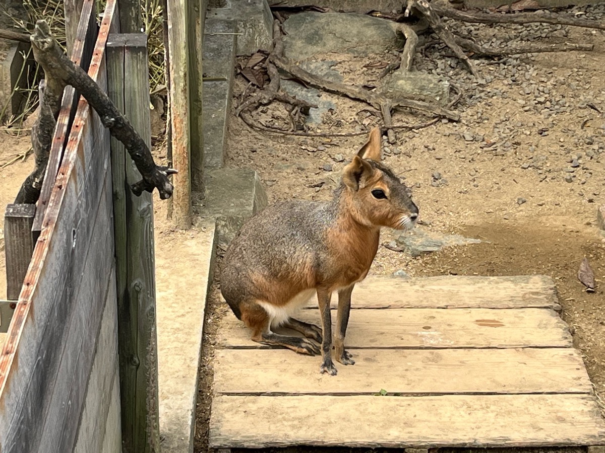 和歌山城公園動物園