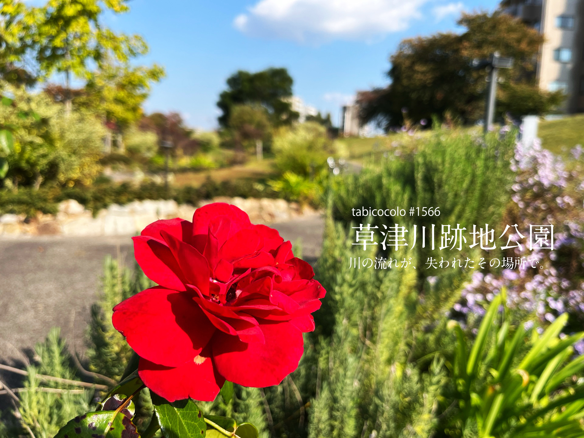 草津川跡地公園