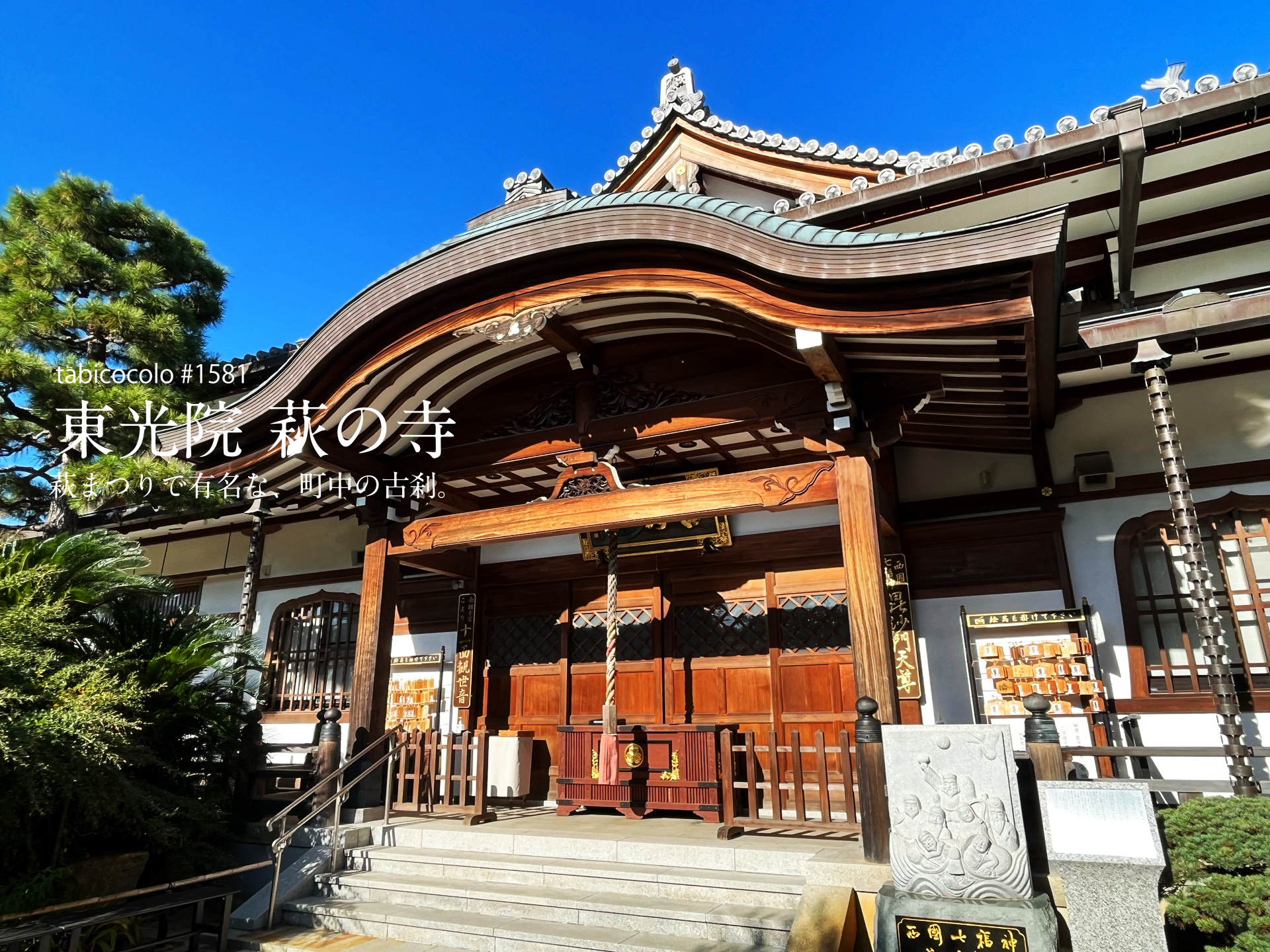 東光院 萩の寺