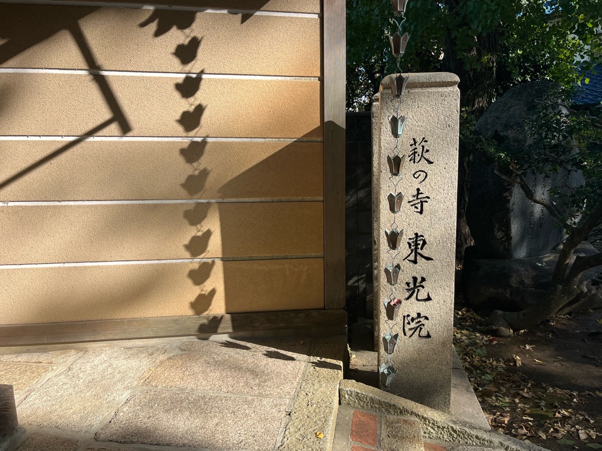 東光院 萩の寺