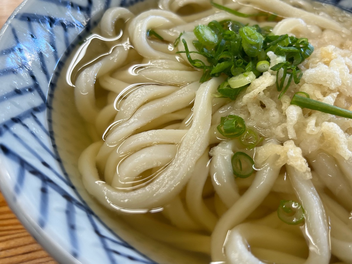 さか枝うどんうどん・讃岐うどん