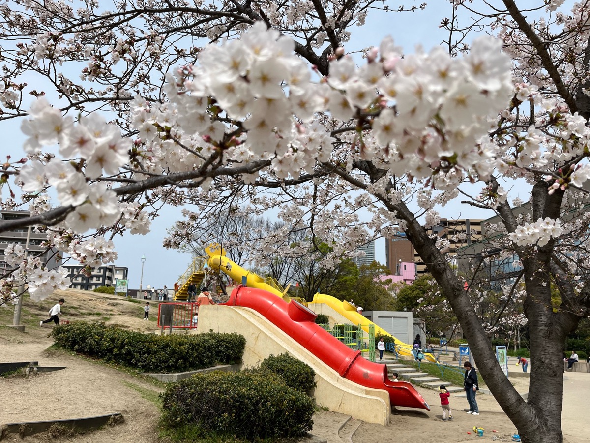 扇町公園