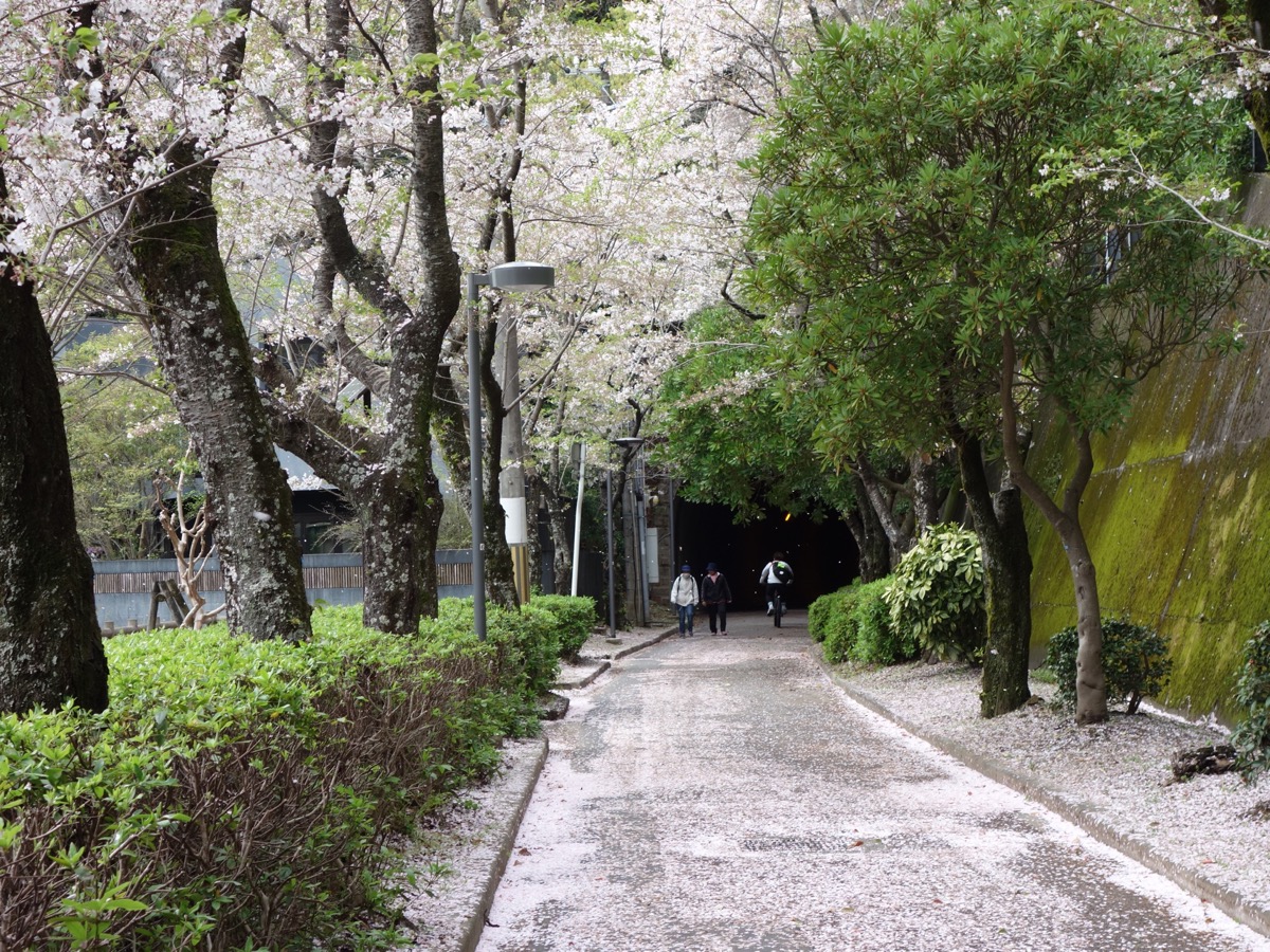 鵬雲洞