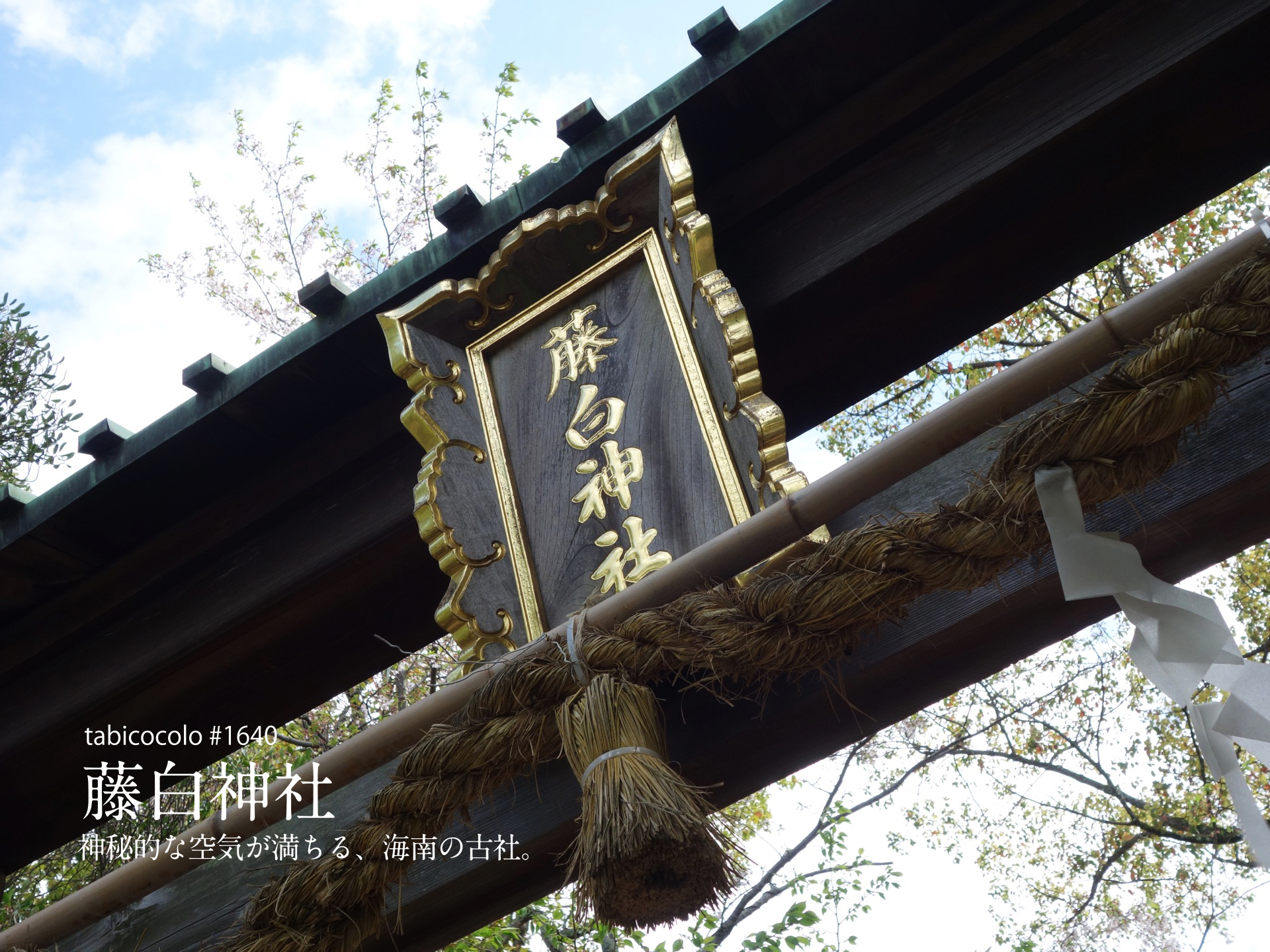 藤白神社