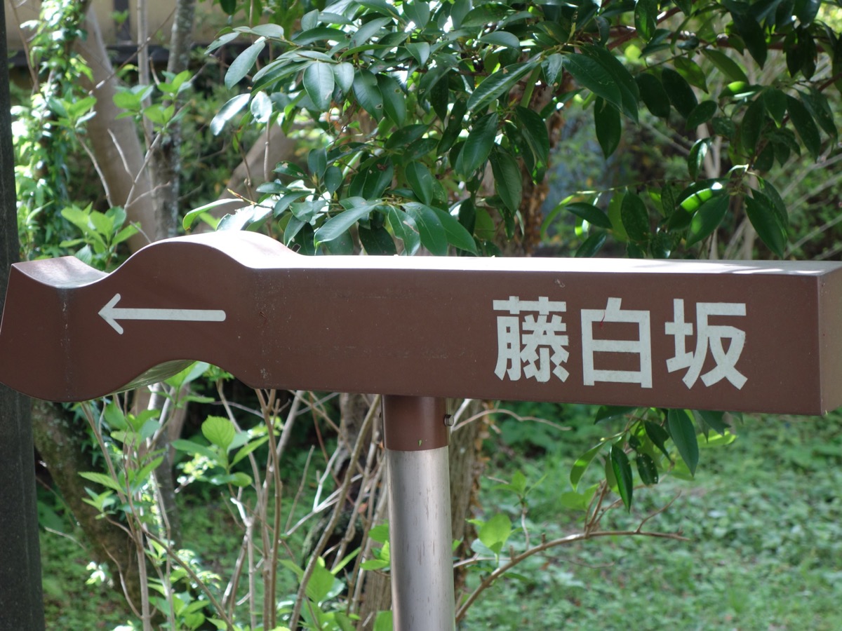 藤白神社