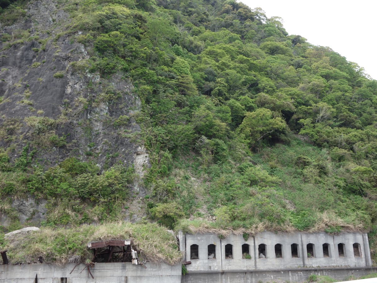 大崩海岸