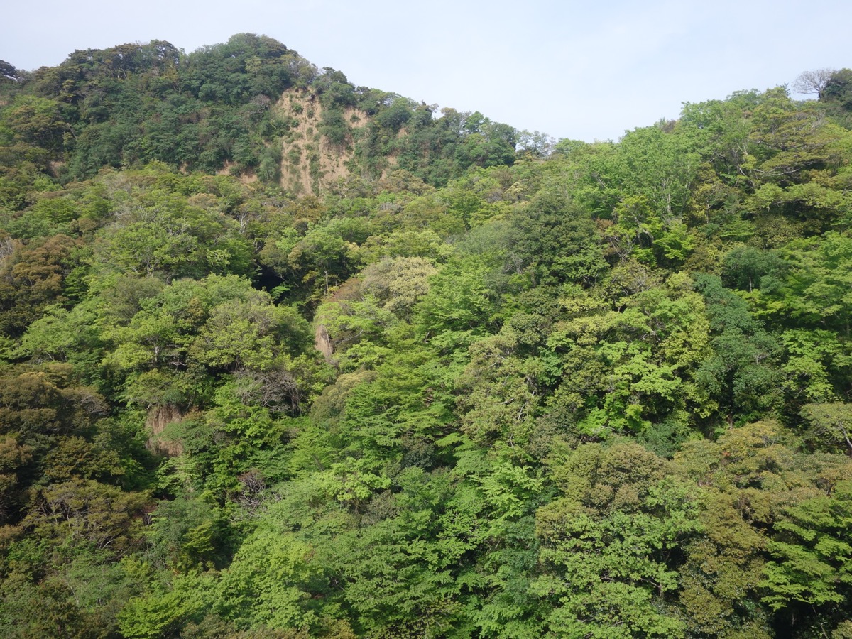 久能山東照宮