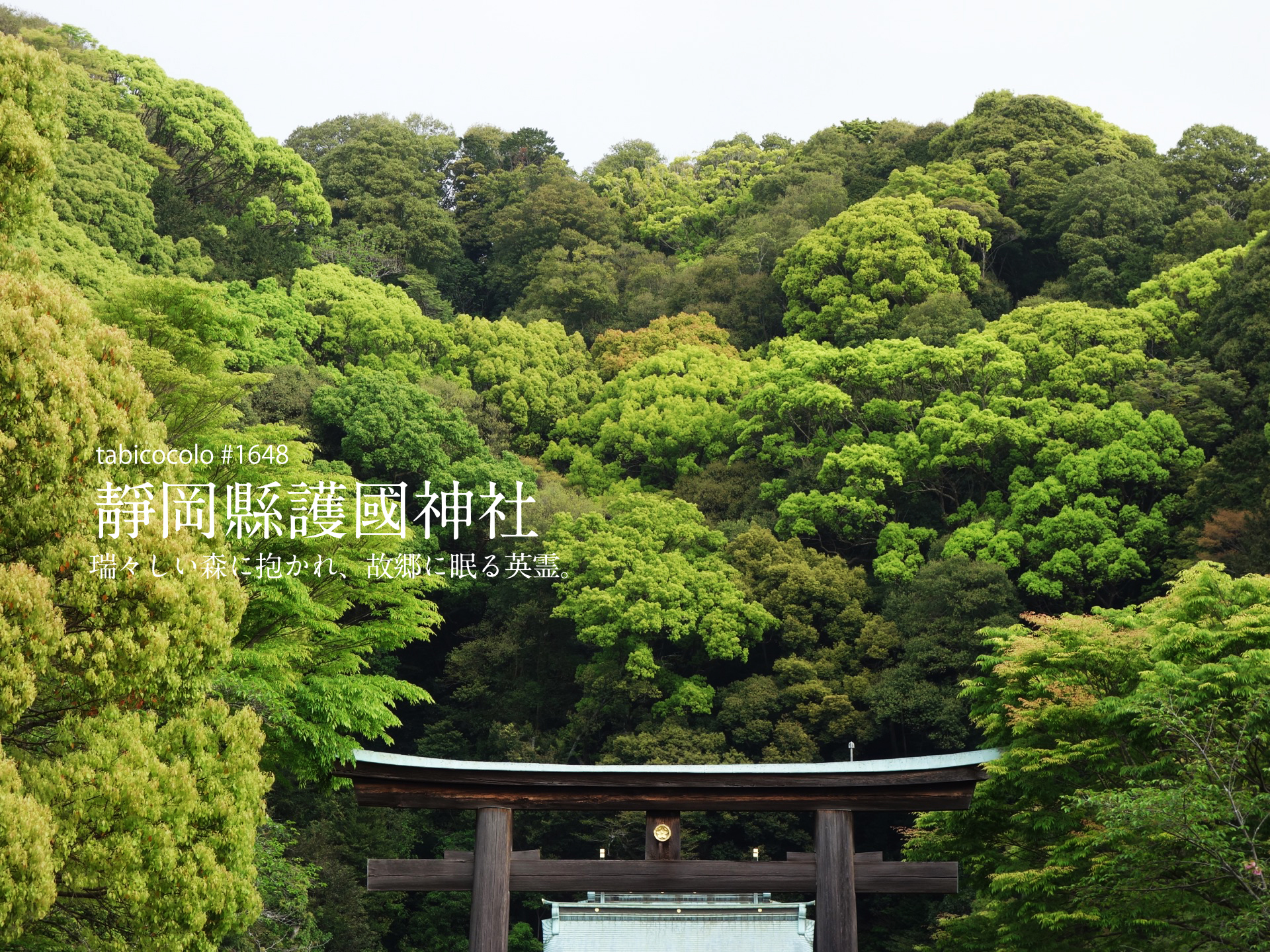 靜岡縣護國神社