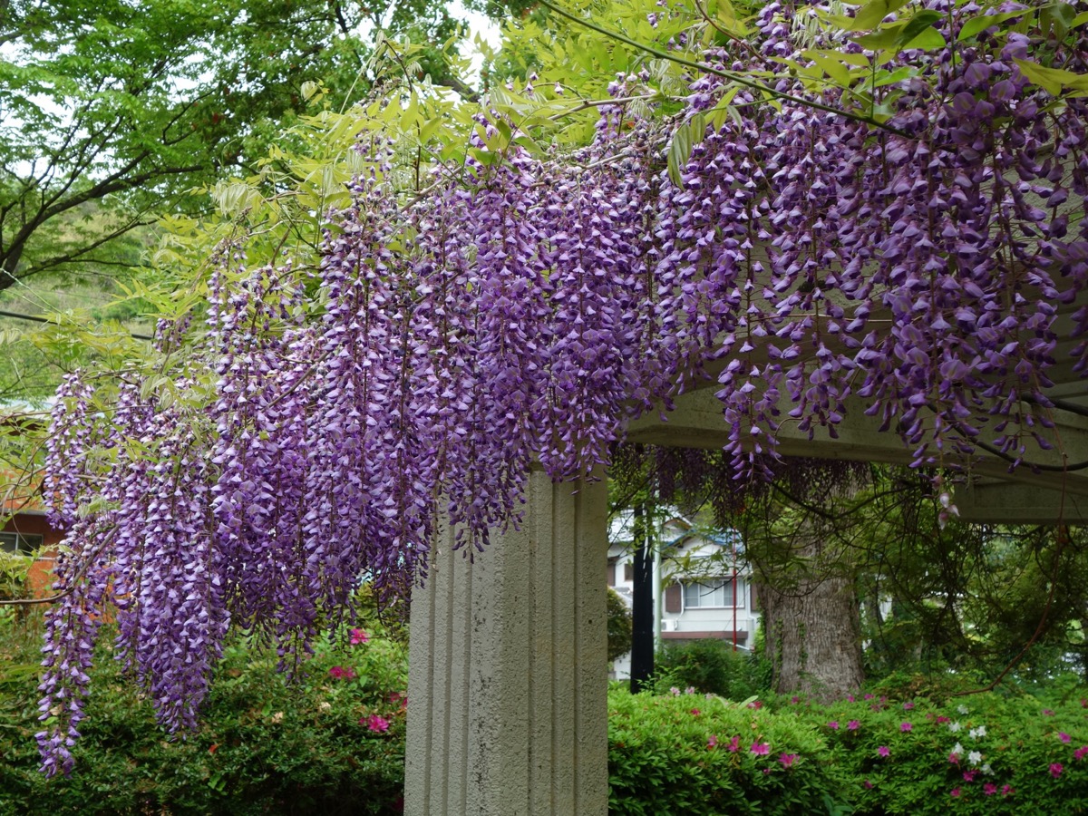 城北公園