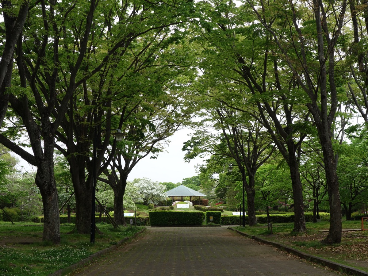 城北公園