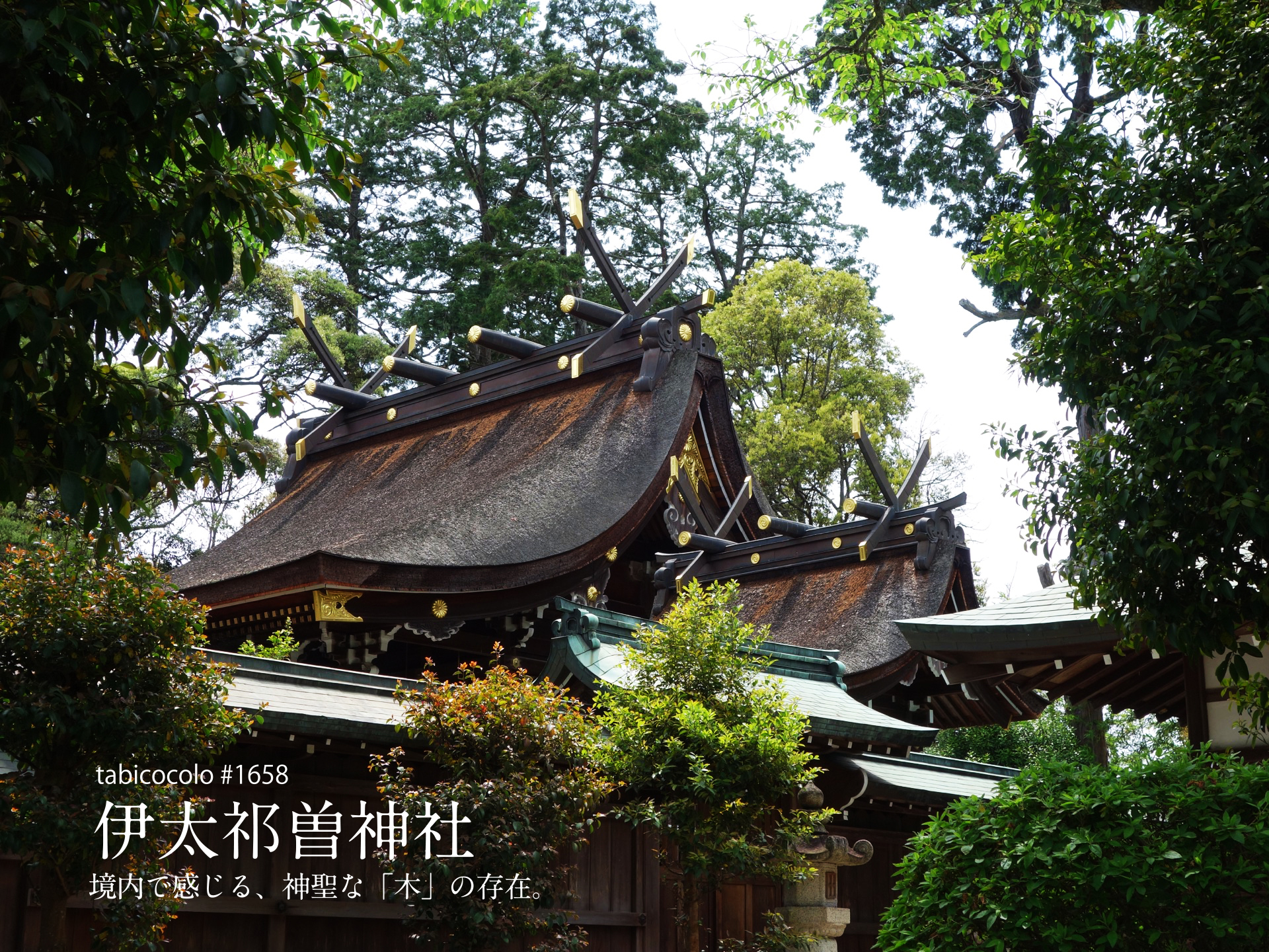 伊太祁曽神社