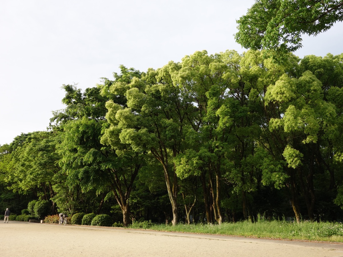 名城公園