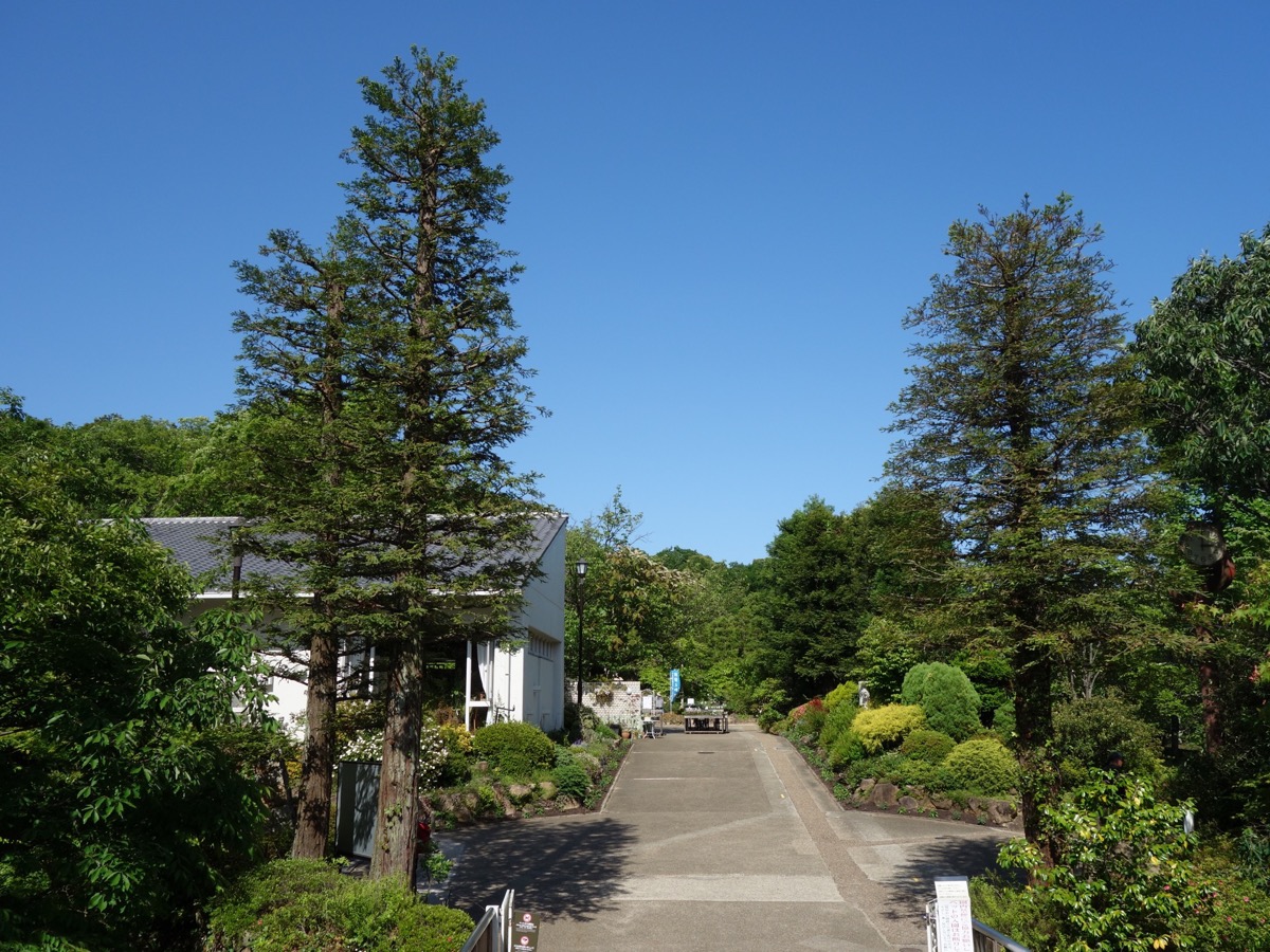 北山緑化植物園