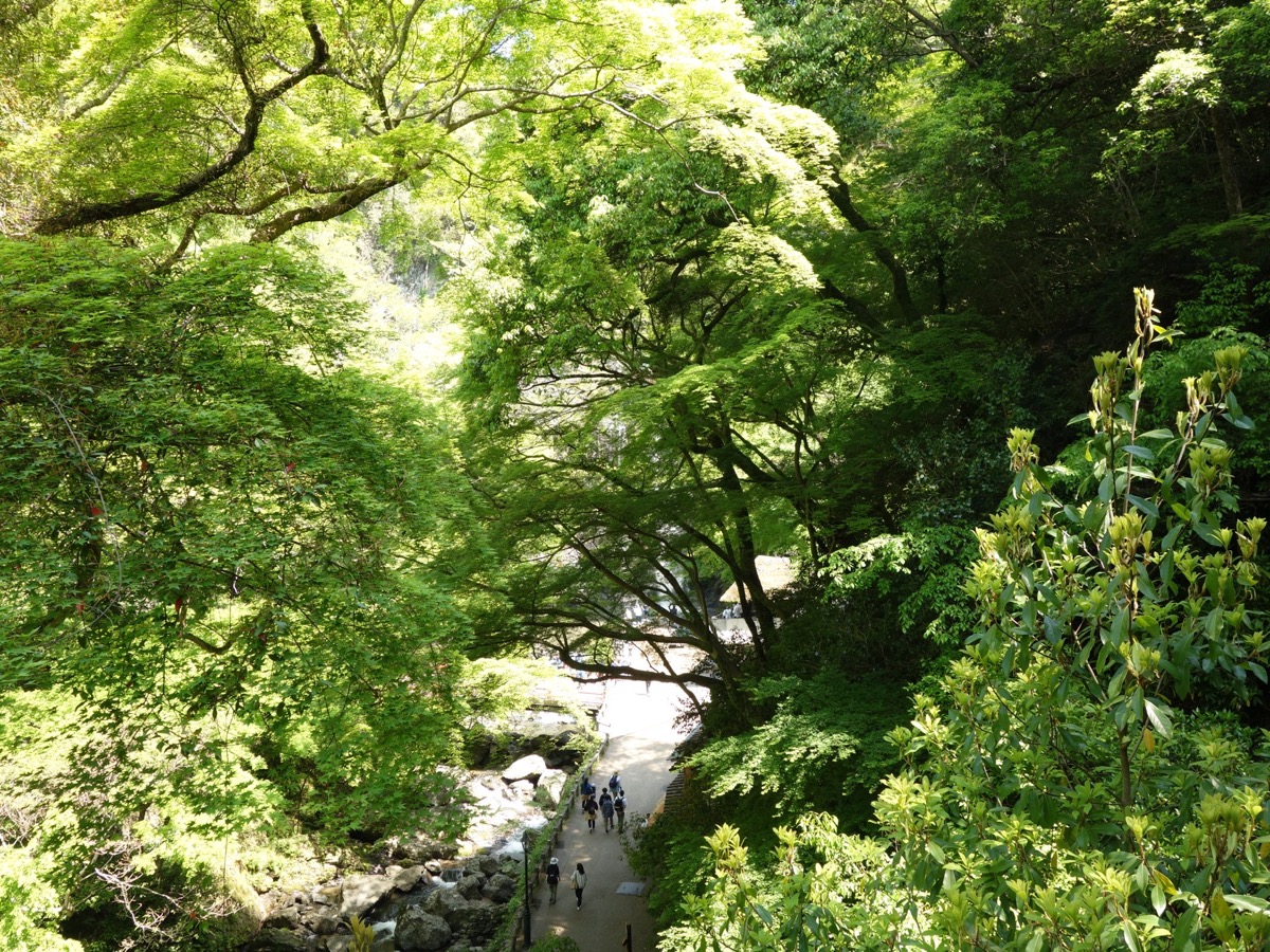 箕面公園