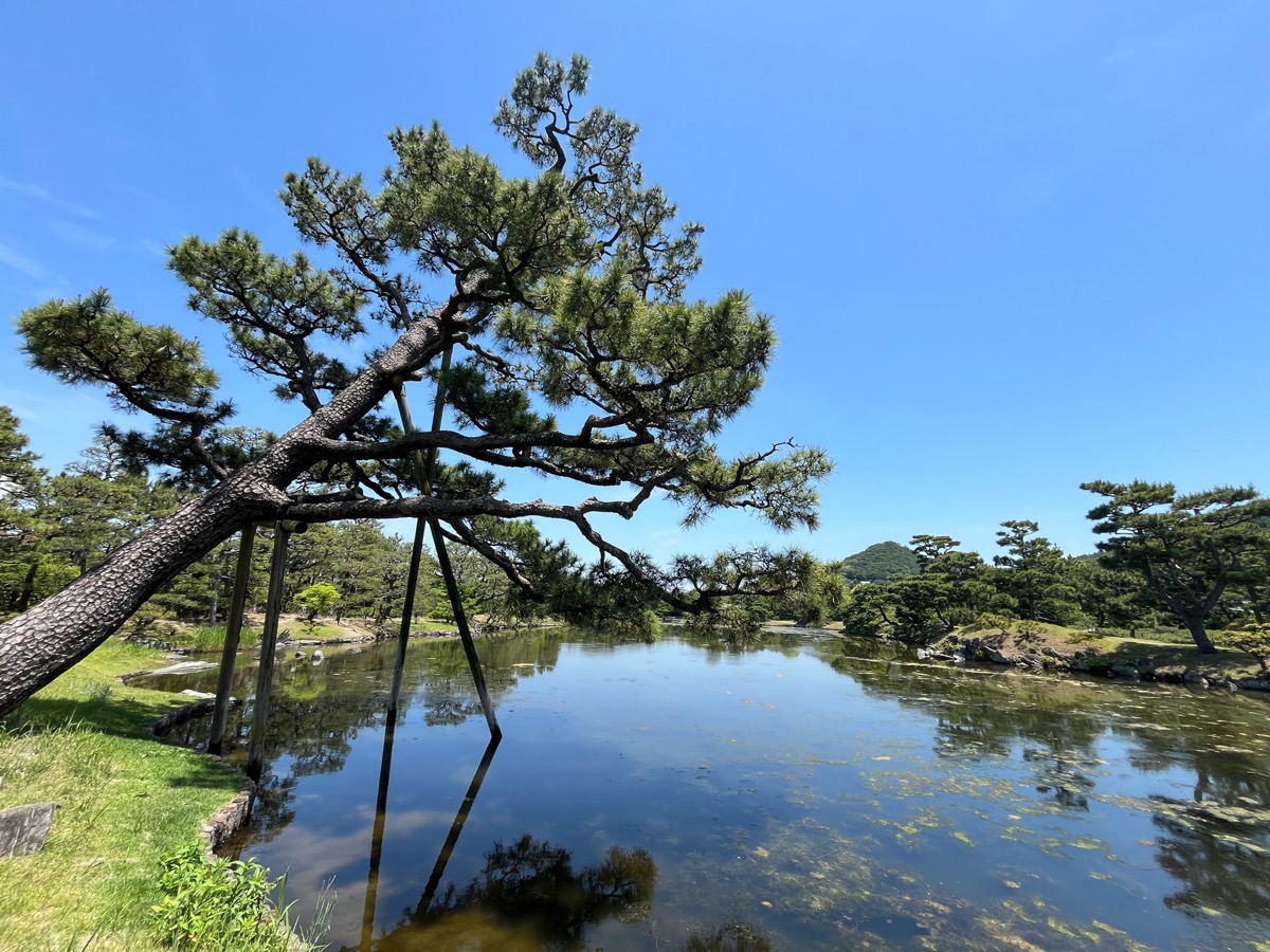 養翠園