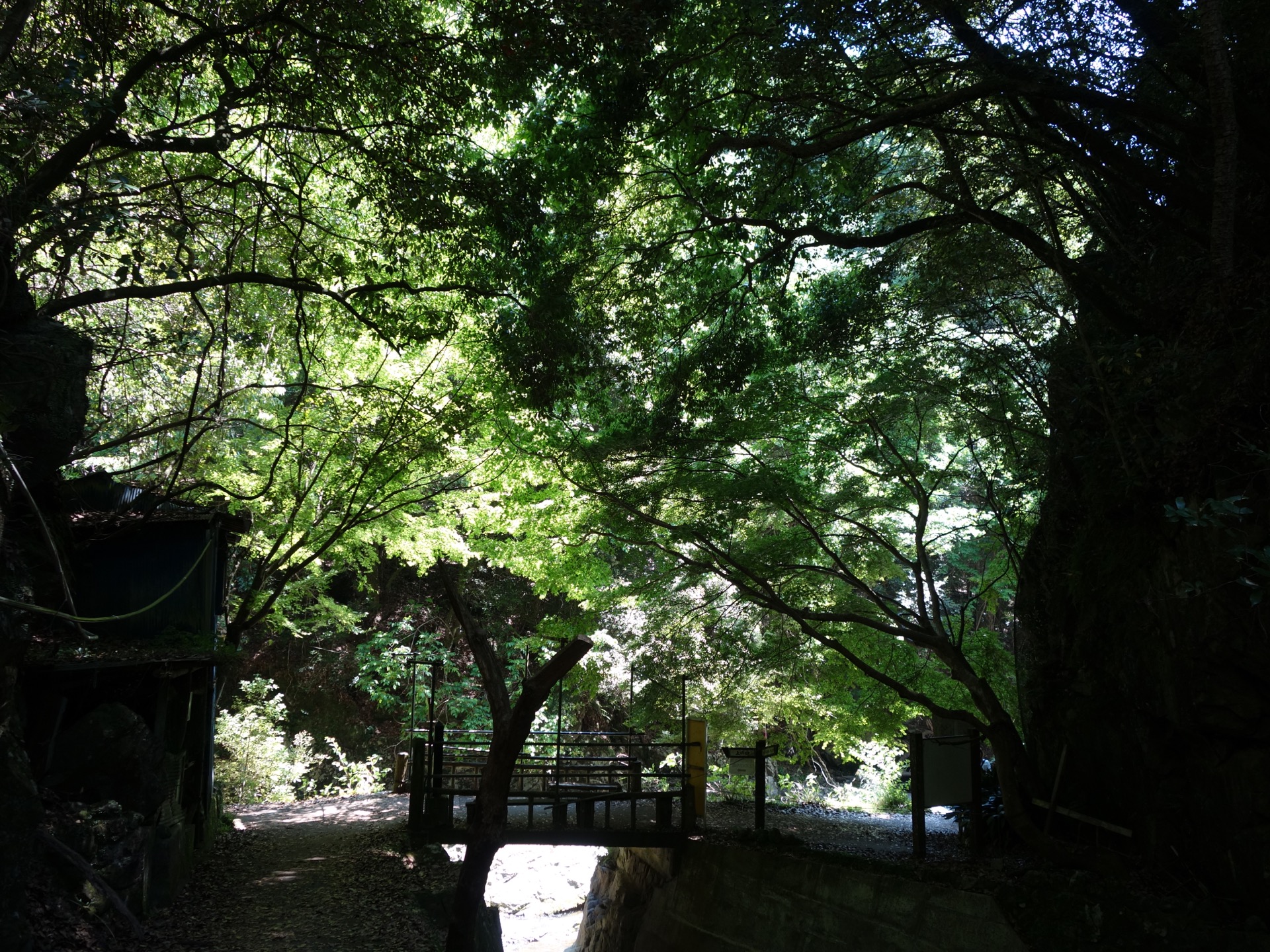 摂津峡公園