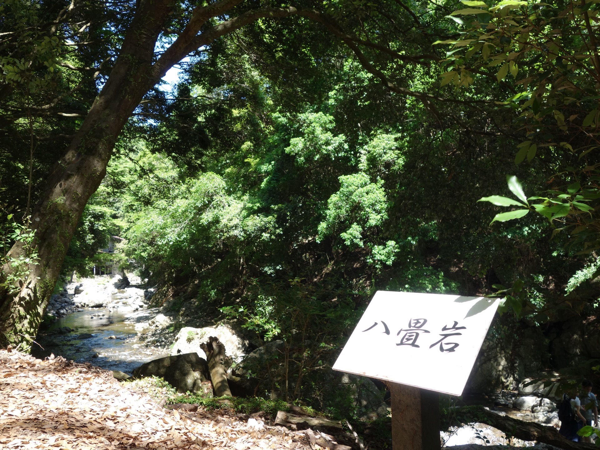 摂津峡公園