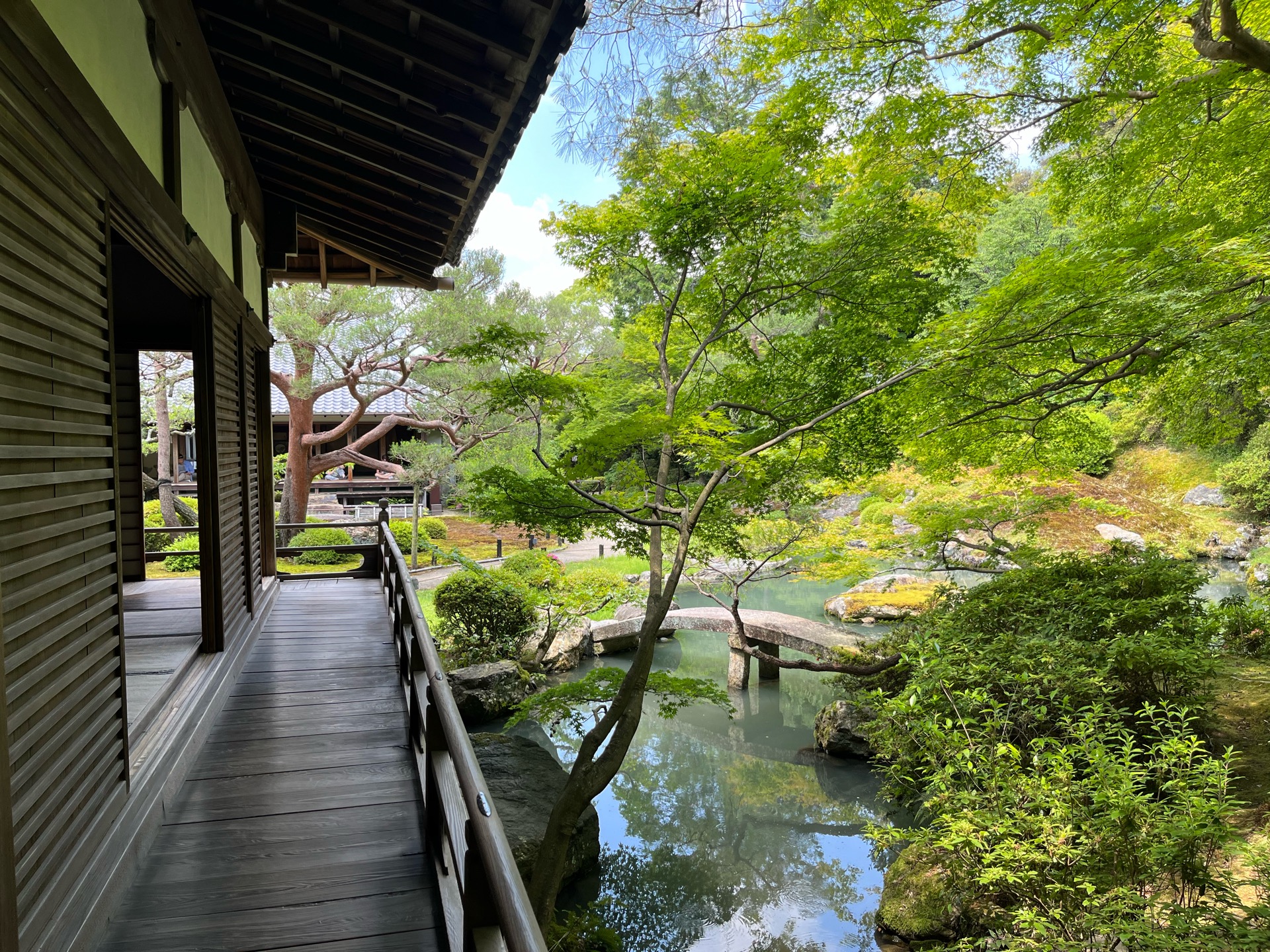 青蓮院