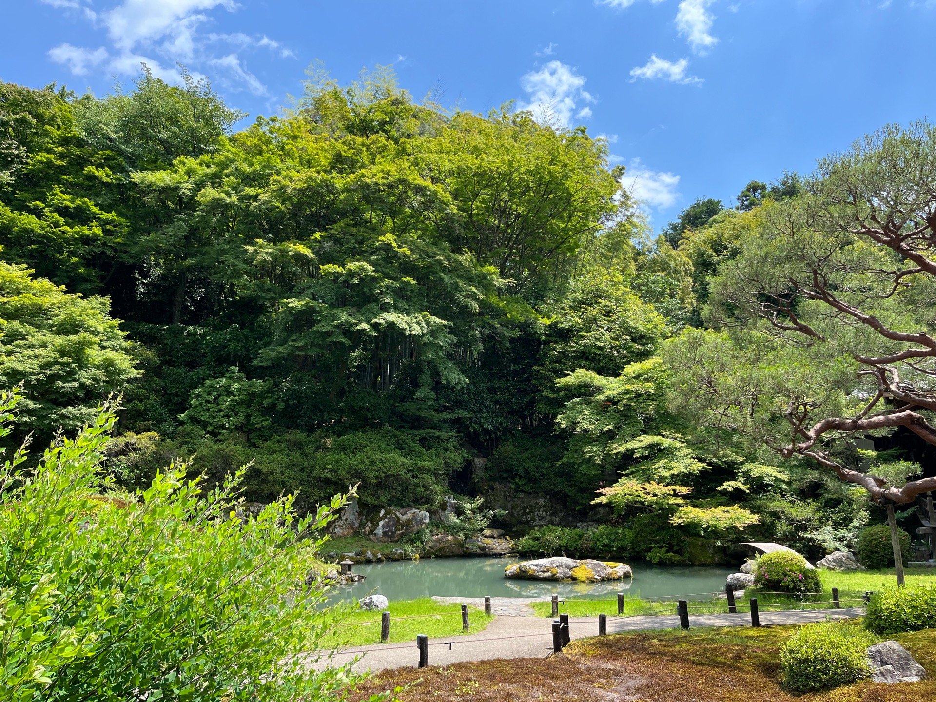 青蓮院