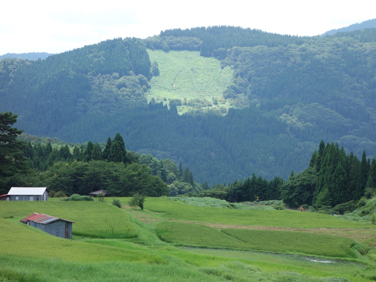 別宮の棚田