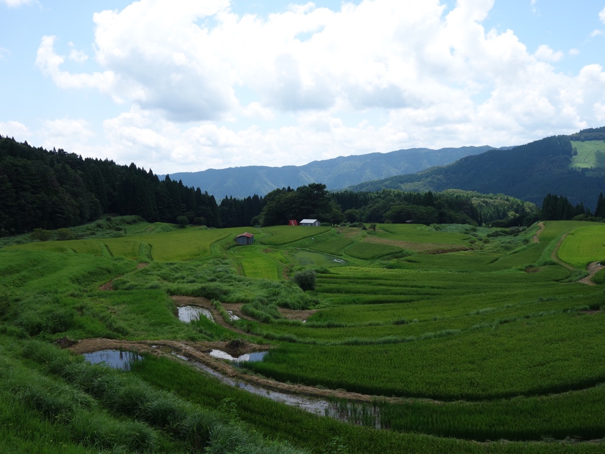 別宮の棚田
