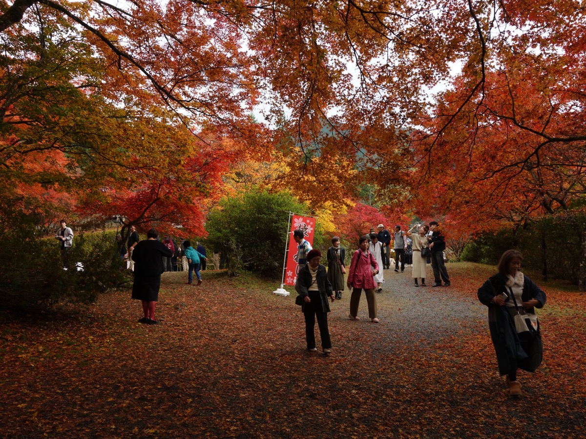 高源寺
