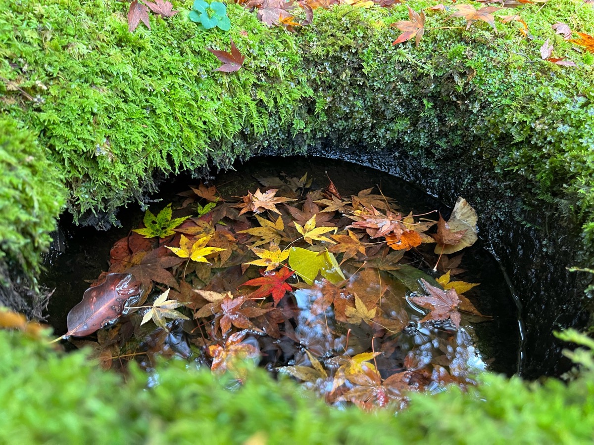 高源寺