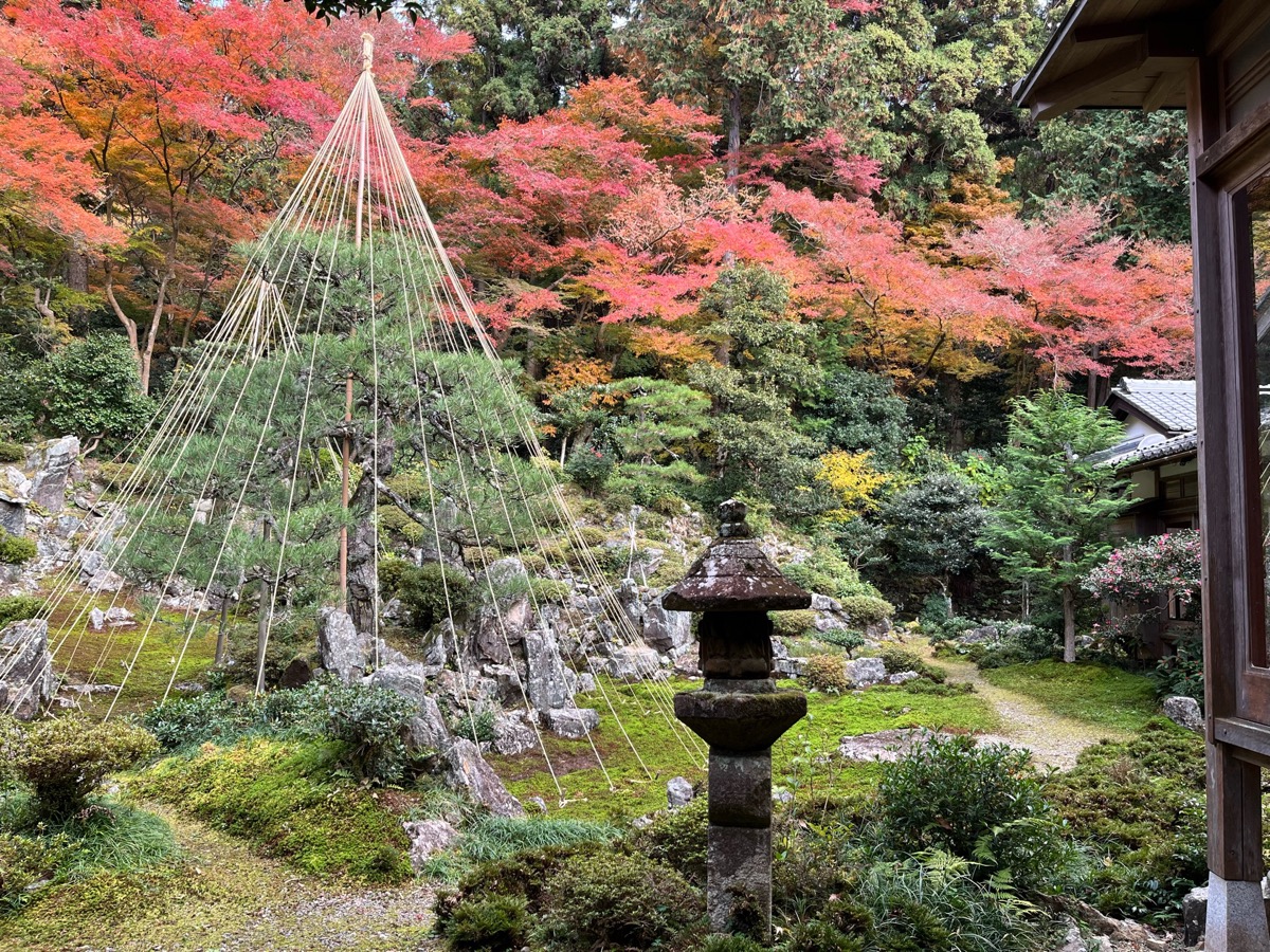 青岸寺