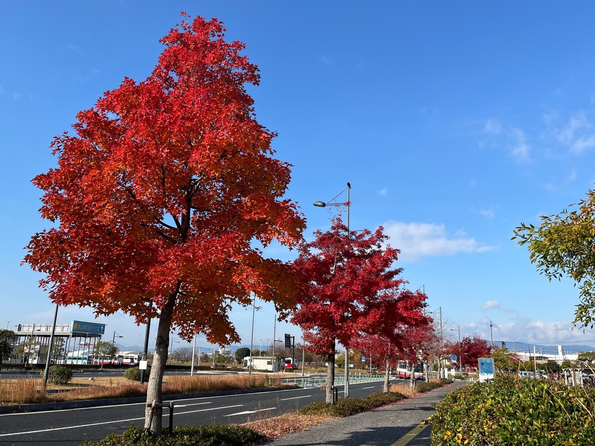 広島みなと公園