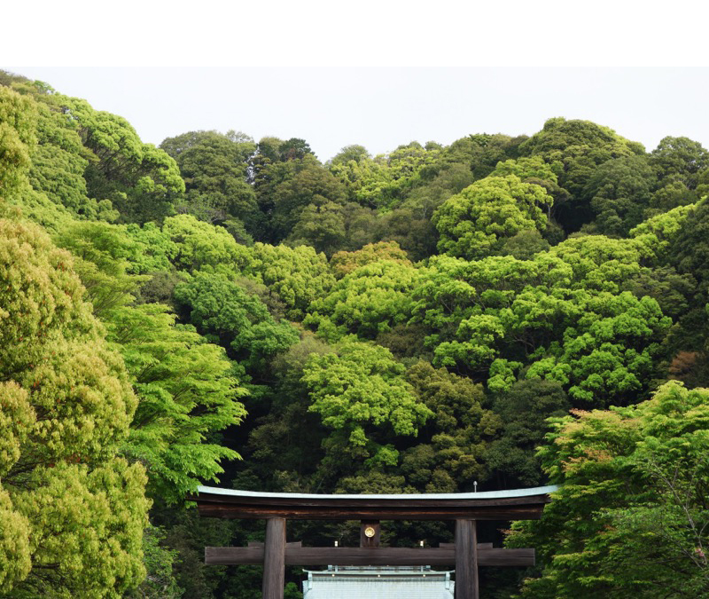 靜岡縣護國神社