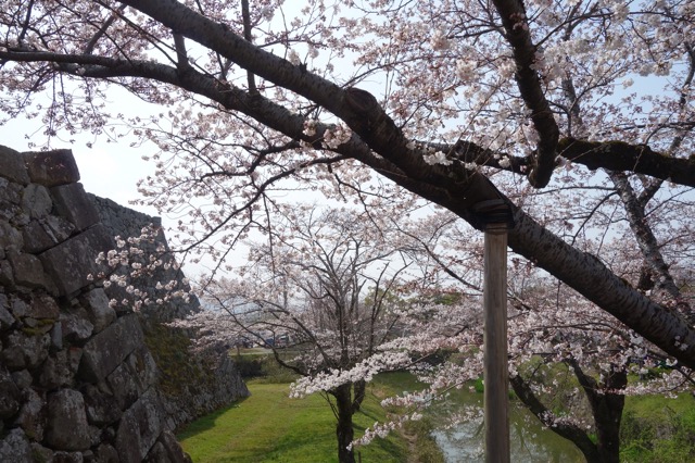 篠山城跡