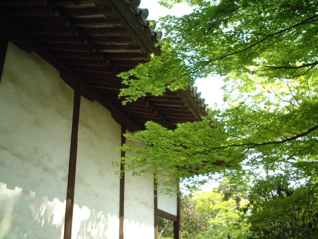 白毫寺