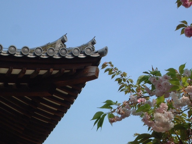 新薬師寺