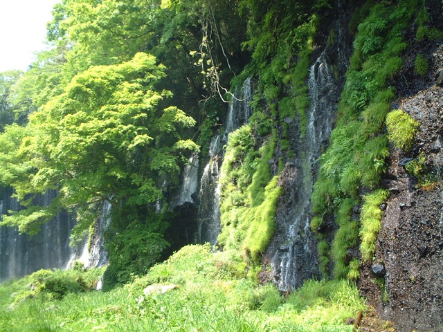 白糸の滝