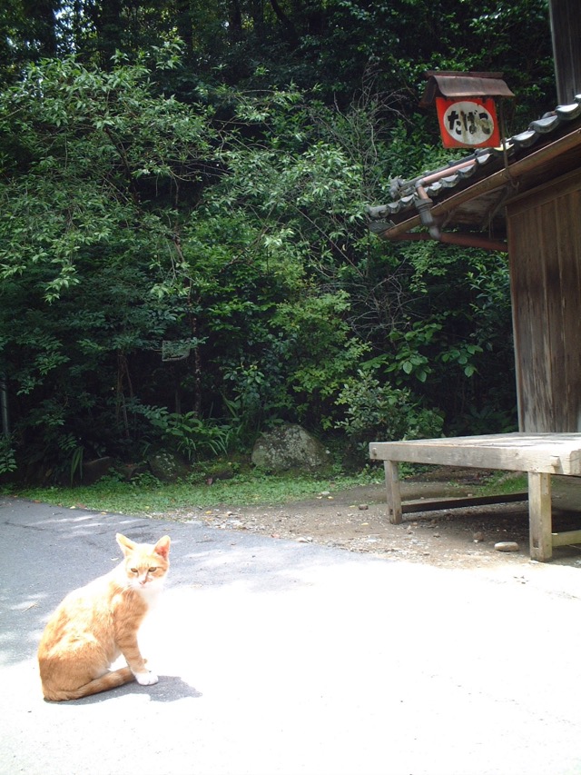 峠の茶屋