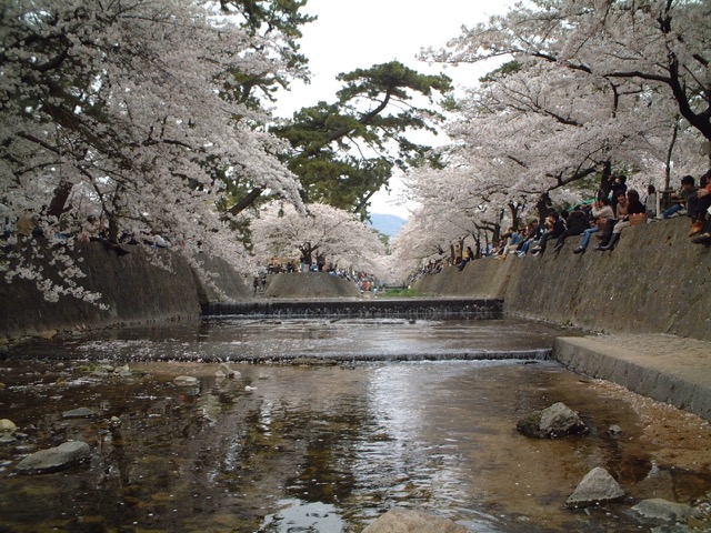 夙川公園