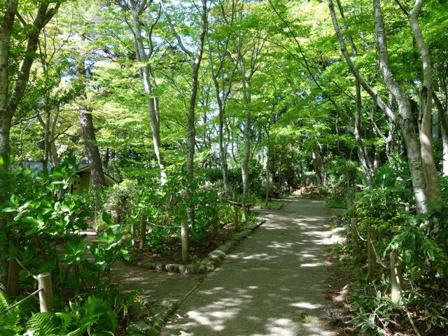 瑞宝寺公園