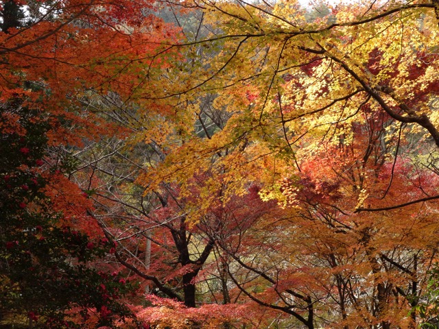 瑞宝寺公園