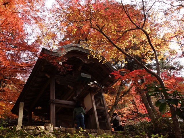 瑞宝寺公園